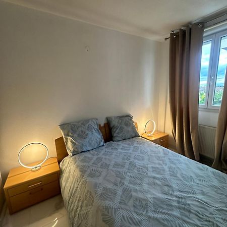 Tres Beau Trois Pieces Avec Vue Degagee Apartment Strasbourg Bagian luar foto