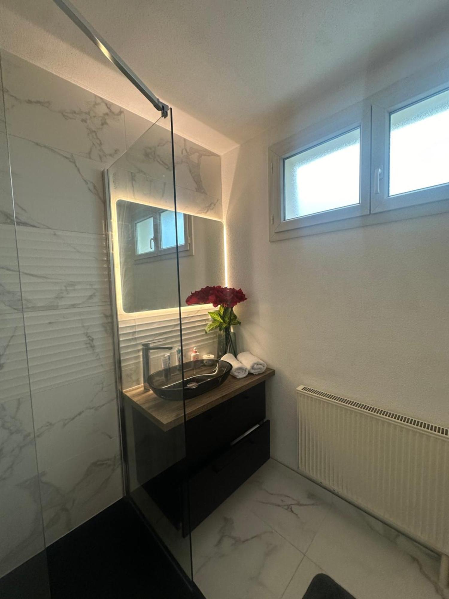 Tres Beau Trois Pieces Avec Vue Degagee Apartment Strasbourg Bagian luar foto